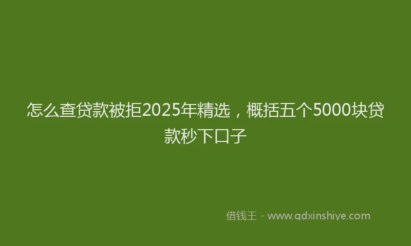 怎么查贷款被拒2025年精选，概括五个5000块贷款秒下口子