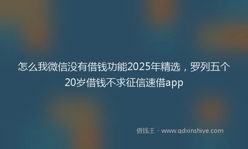 怎么我微信没有借钱功能2025年精选，罗列五个20岁借钱不求征信速借app