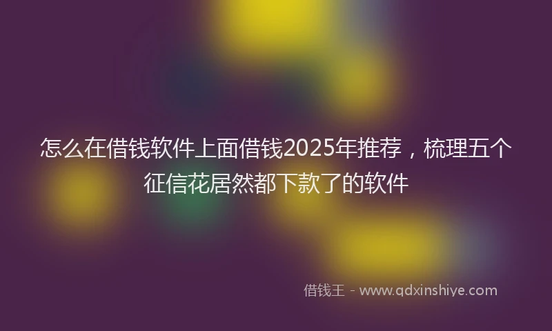 怎么在借钱软件上面借钱2025年推荐，梳理五个征信花居然都下款了的软件
