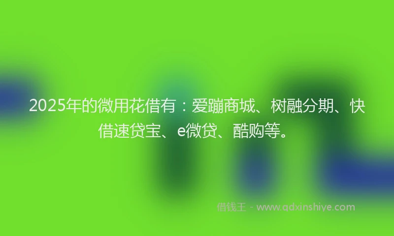 2025年的微用花借有：爱蹦商城、树融分期、快借速贷宝、e微贷、酷购等。