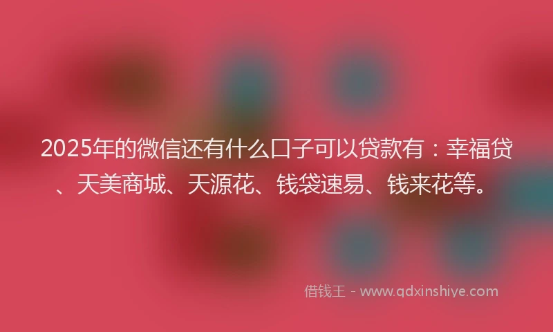 2025年的微信还有什么口子可以贷款有：幸福贷、天美商城、天源花、钱袋速易、钱来花等。