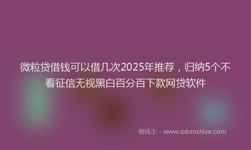 微粒贷借钱可以借几次2025年推荐，归纳5个不看征信无视黑白百分百下款网贷软件