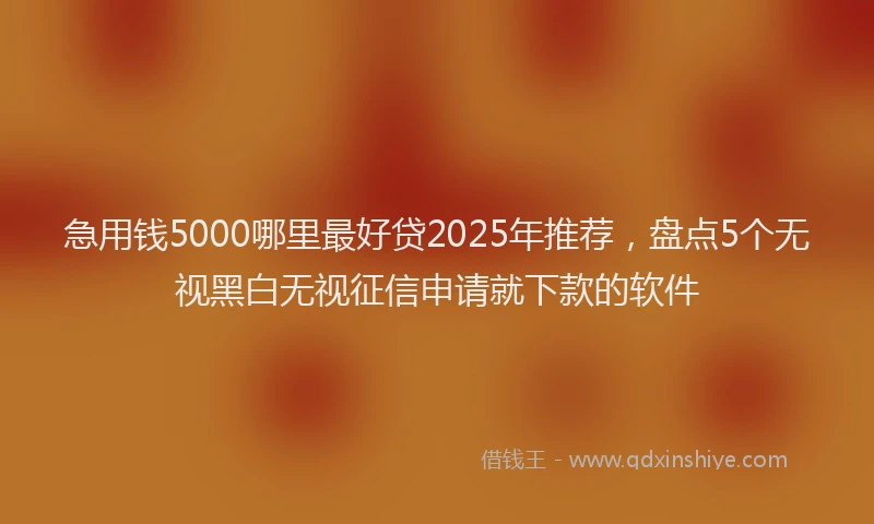 急用钱5000哪里最好贷2025年推荐，盘点5个无视黑白无视征信申请就下款的软件