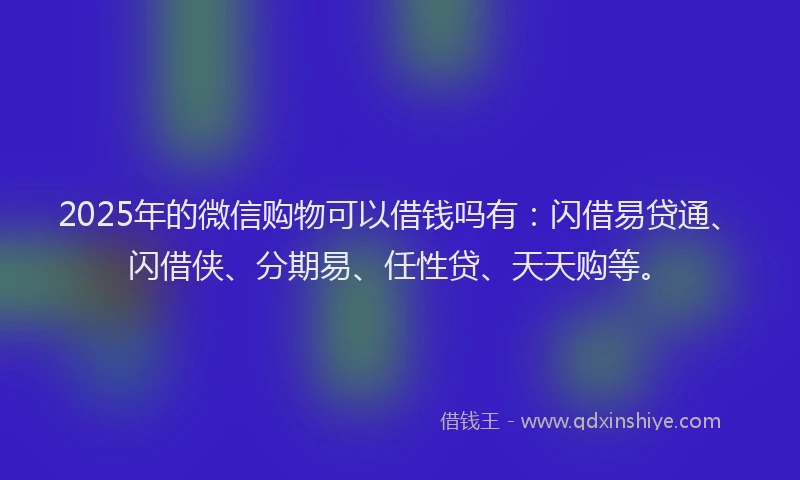 2025年的微信购物可以借钱吗有：闪借易贷通、闪借侠、分期易、任性贷、天天购等。