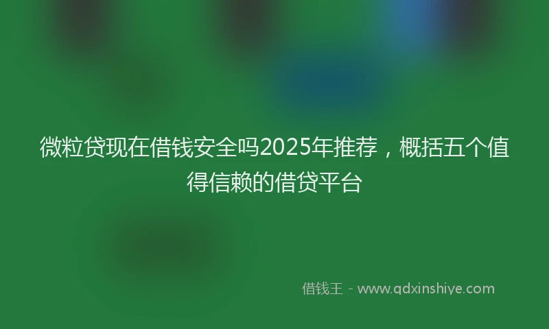 微粒贷现在借钱安全吗2025年推荐，概括五个值得信赖的借贷平台