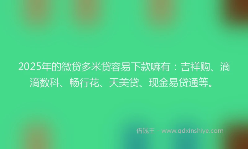 2025年的微贷多米贷容易下款嘛有：吉祥购、滴滴数科、畅行花、天美贷、现金易贷通等。