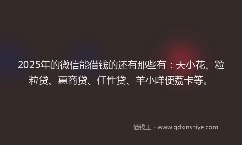 2025年的微信能借钱的还有那些有：天小花、粒粒贷、惠商贷、任性贷、羊小咩便荔卡等。