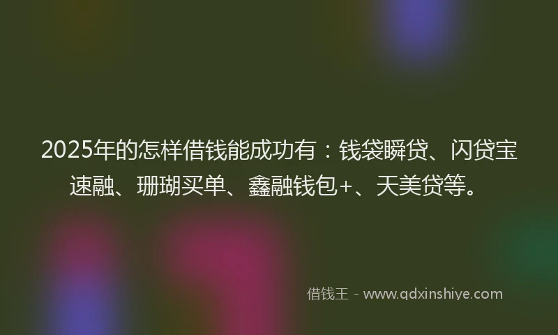 2025年的怎样借钱能成功有：钱袋瞬贷、闪贷宝速融、珊瑚买单、鑫融钱包+、天美贷等。