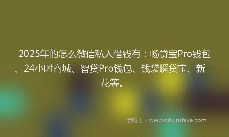 2025年的怎么微信私人借钱有：畅贷宝Pro钱包、24小时商城、智贷Pro钱包、钱袋瞬贷宝、新一花等。
