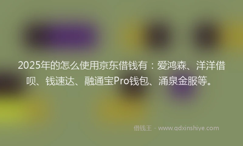 2025年的怎么使用京东借钱有：爱鸿森、洋洋借呗、钱速达、融通宝Pro钱包、涌泉金服等。
