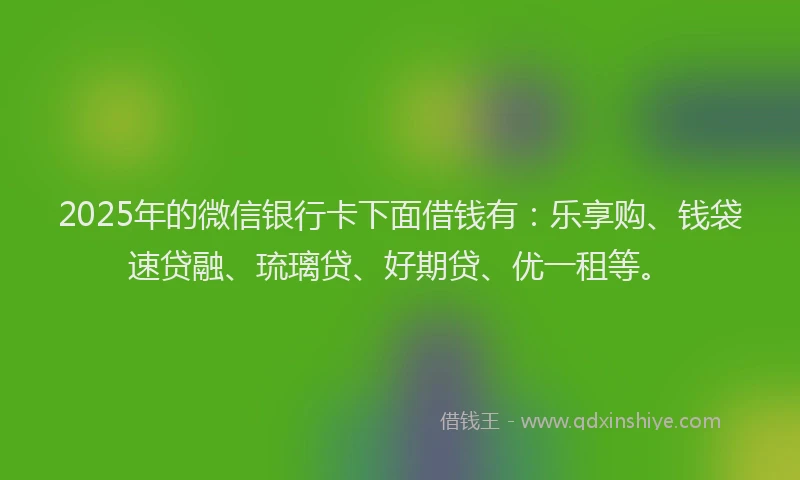 2025年的微信银行卡下面借钱有：乐享购、钱袋速贷融、琉璃贷、好期贷、优一租等。