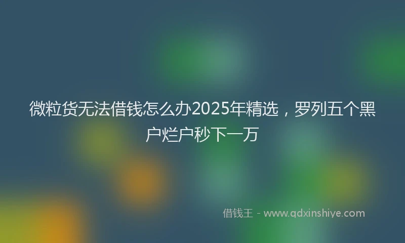 微粒货无法借钱怎么办2025年精选，罗列五个黑户烂户秒下一万