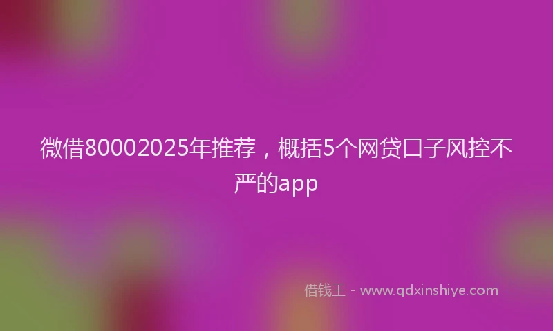 微借80002025年推荐，概括5个网贷口子风控不严的app