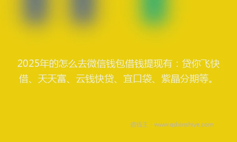 2025年的怎么去微信钱包借钱提现有：贷你飞快借、天天富、云钱快贷、宜口袋、紫晶分期等。