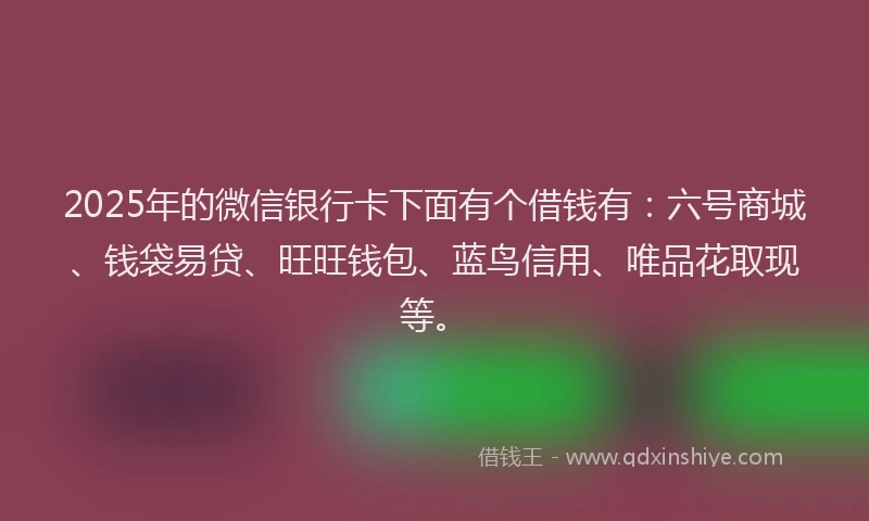 2025年的微信银行卡下面有个借钱有：六号商城、钱袋易贷、旺旺钱包、蓝鸟信用、唯品花取现等。