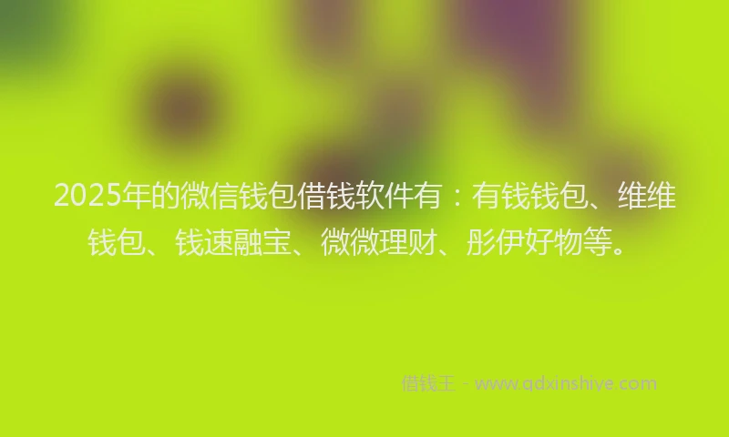 2025年的微信钱包借钱软件有：有钱钱包、维维钱包、钱速融宝、微微理财、彤伊好物等。