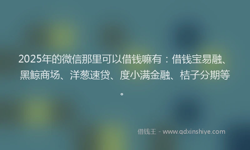 2025年的微信那里可以借钱嘛有：借钱宝易融、黑鲸商场、洋葱速贷、度小满金融、桔子分期等。