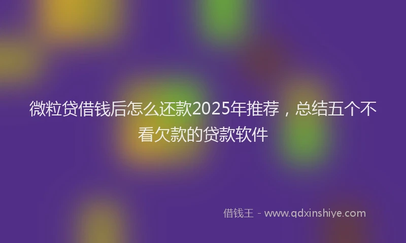 微粒贷借钱后怎么还款2025年推荐，总结五个不看欠款的贷款软件