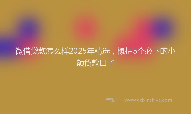 微借贷款怎么样2025年精选，概括5个必下的小额贷款口子