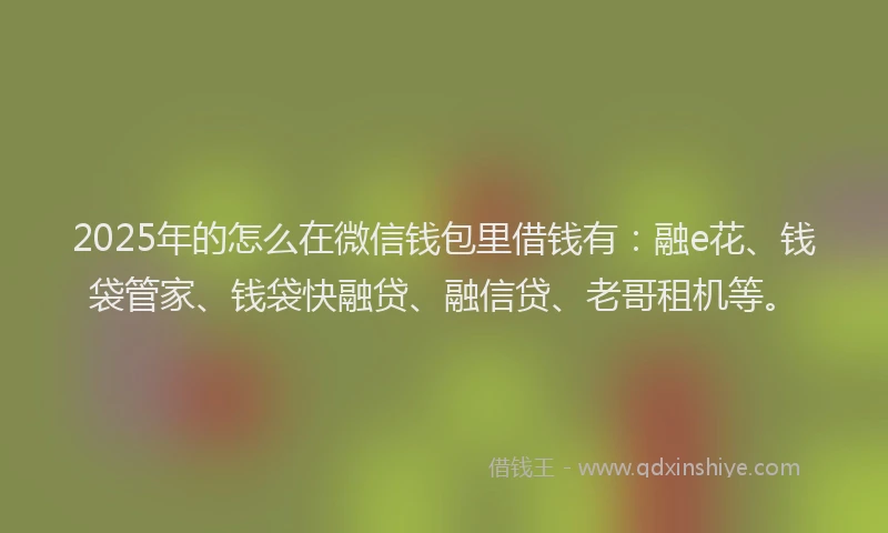 2025年的怎么在微信钱包里借钱有：融e花、钱袋管家、钱袋快融贷、融信贷、老哥租机等。