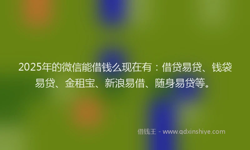 2025年的微信能借钱么现在有：借贷易贷、钱袋易贷、金租宝、新浪易借、随身易贷等。