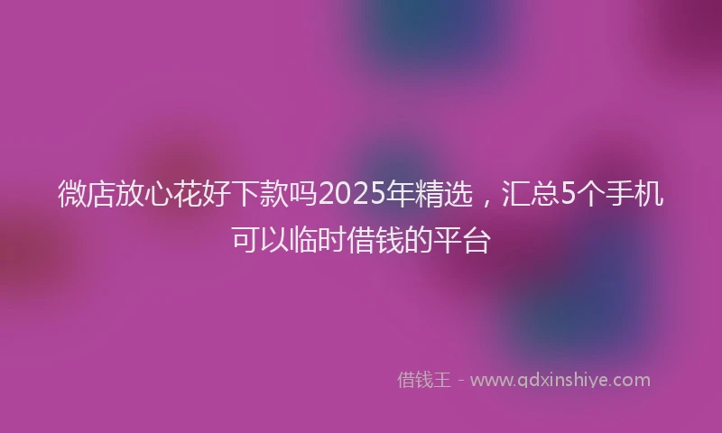 微店放心花好下款吗2025年精选，汇总5个手机可以临时借钱的平台