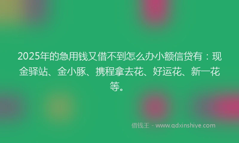 2025年的急用钱又借不到怎么办小额信贷有：现金驿站、金小豚、携程拿去花、好运花、新一花等。
