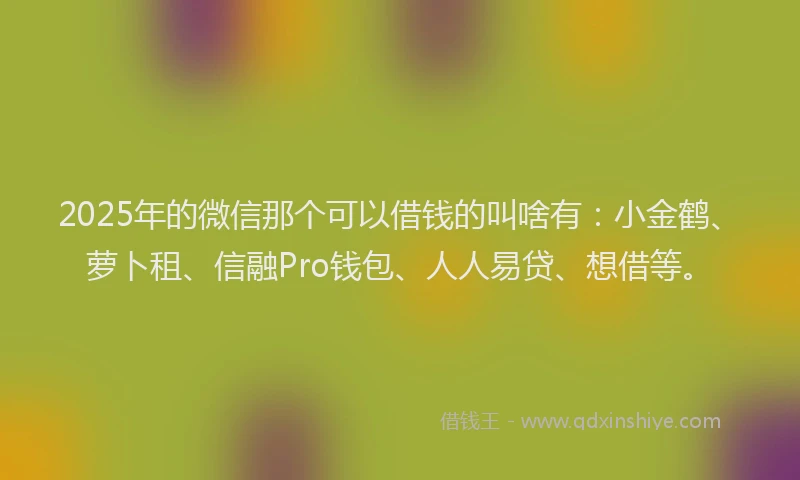 2025年的微信那个可以借钱的叫啥有：小金鹤、萝卜租、信融Pro钱包、人人易贷、想借等。