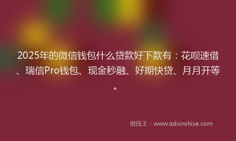 2025年的微信钱包什么贷款好下款有：花呗速借、瑞信Pro钱包、现金秒融、好期快贷、月月开等。