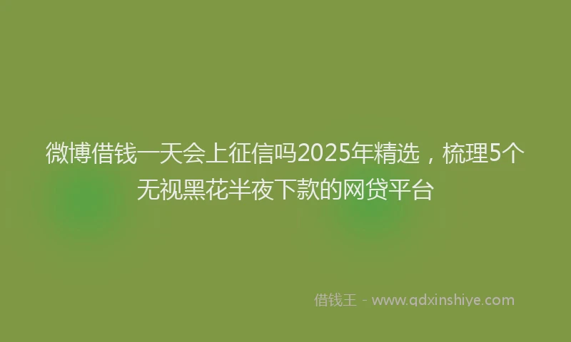 微博借钱一天会上征信吗2025年精选，梳理5个无视黑花半夜下款的网贷平台