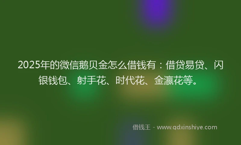 2025年的微信鹅贝金怎么借钱有：借贷易贷、闪银钱包、射手花、时代花、金瀛花等。