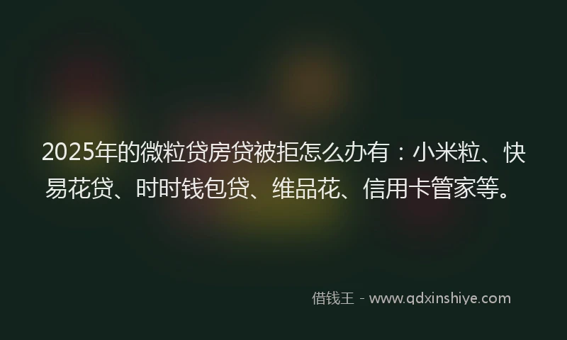 2025年的微粒贷房贷被拒怎么办有：小米粒、快易花贷、时时钱包贷、维品花、信用卡管家等。