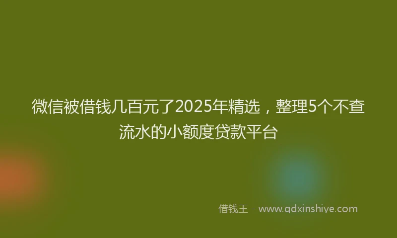微信被借钱几百元了2025年精选，整理5个不查流水的小额度贷款平台