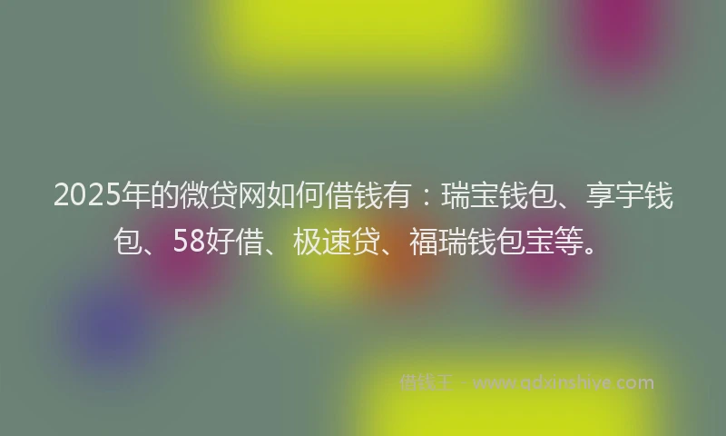 2025年的微贷网如何借钱有：瑞宝钱包、享宇钱包、58好借、极速贷、福瑞钱包宝等。