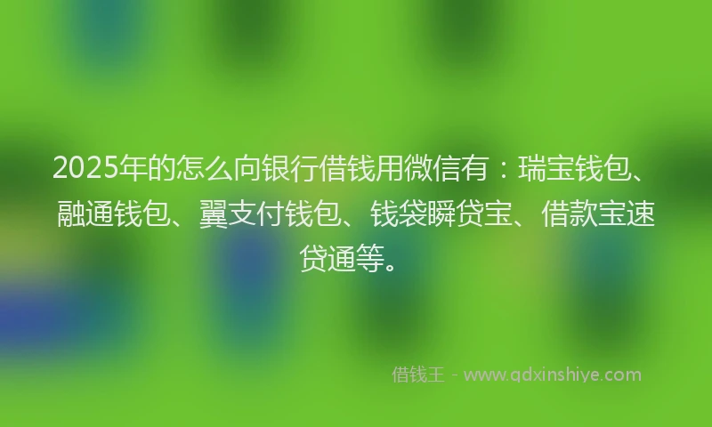2025年的怎么向银行借钱用微信有：瑞宝钱包、融通钱包、翼支付钱包、钱袋瞬贷宝、借款宝速贷通等。