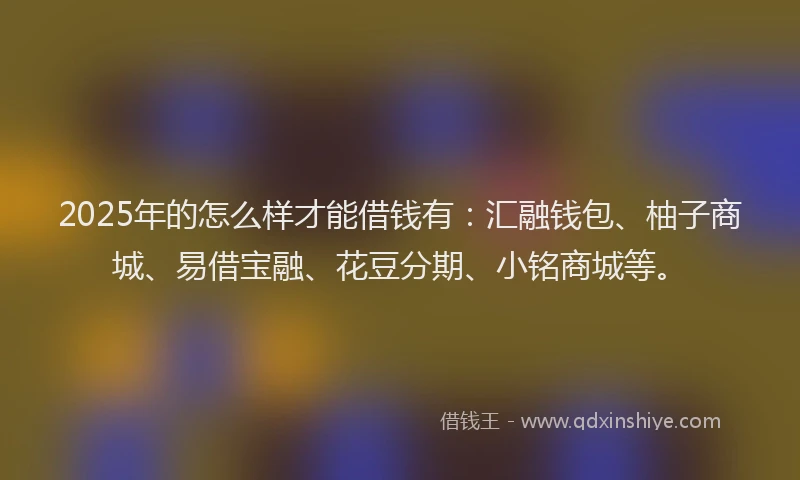 2025年的怎么样才能借钱有：汇融钱包、柚子商城、易借宝融、花豆分期、小铭商城等。