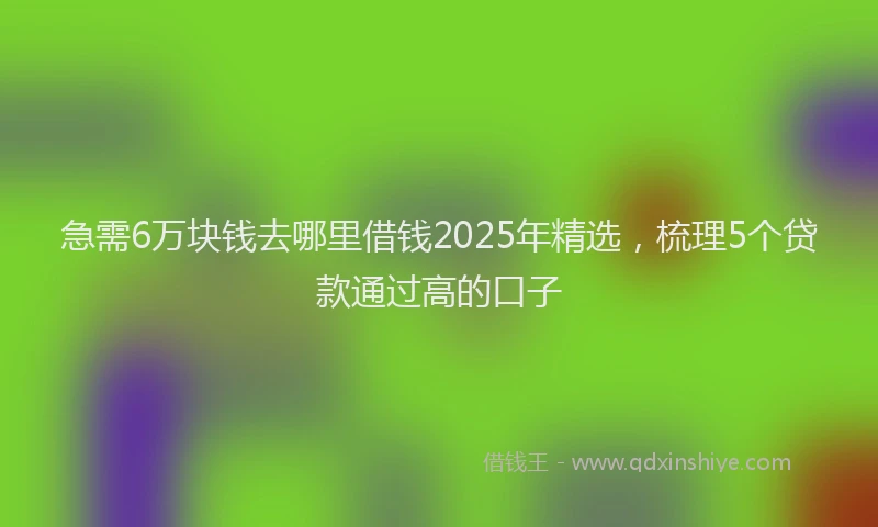 急需6万块钱去哪里借钱2025年精选，梳理5个贷款通过高的口子