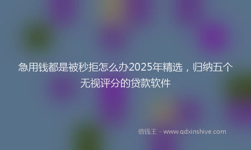 急用钱都是被秒拒怎么办2025年精选，归纳五个无视评分的贷款软件