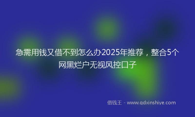 急需用钱又借不到怎么办2025年推荐，整合5个网黑烂户无视风控口子