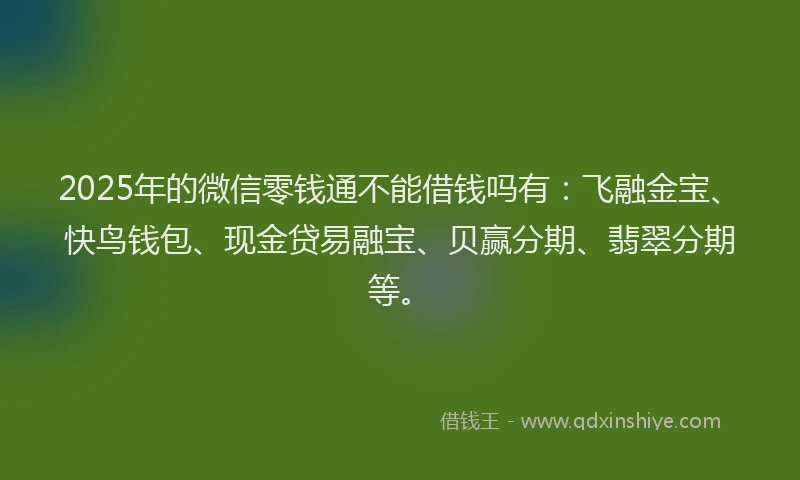 2025年的微信零钱通不能借钱吗有：飞融金宝、快鸟钱包、现金贷易融宝、贝赢分期、翡翠分期等。