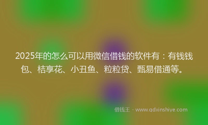 2025年的怎么可以用微信借钱的软件有：有钱钱包、桔享花、小丑鱼、粒粒贷、甄易借通等。
