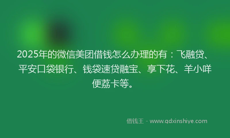 2025年的微信美团借钱怎么办理的有：飞融贷、平安口袋银行、钱袋速贷融宝、享下花、羊小咩便荔卡等。