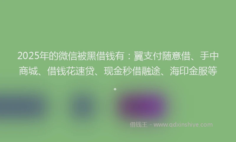 2025年的微信被黑借钱有：翼支付随意借、手中商城、借钱花速贷、现金秒借融途、海印金服等。