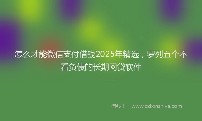 怎么才能微信支付借钱2025年精选，罗列五个不看负债的长期网贷软件