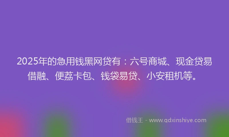 2025年的急用钱黑网贷有：六号商城、现金贷易借融、便荔卡包、钱袋易贷、小安租机等。