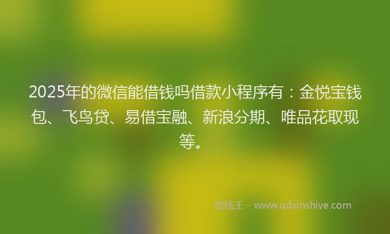 2025年的微信能借钱吗借款小程序有：金悦宝钱包、飞鸟贷、易借宝融、新浪分期、唯品花取现等。
