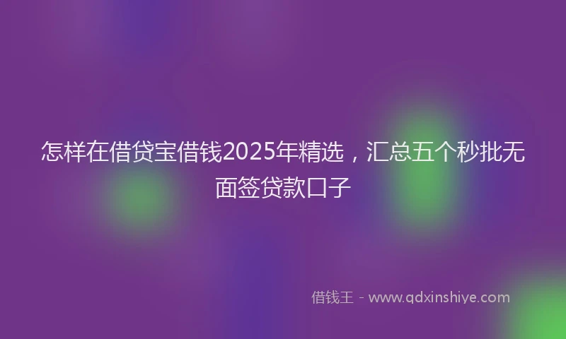 怎样在借贷宝借钱2025年精选，汇总五个秒批无面签贷款口子
