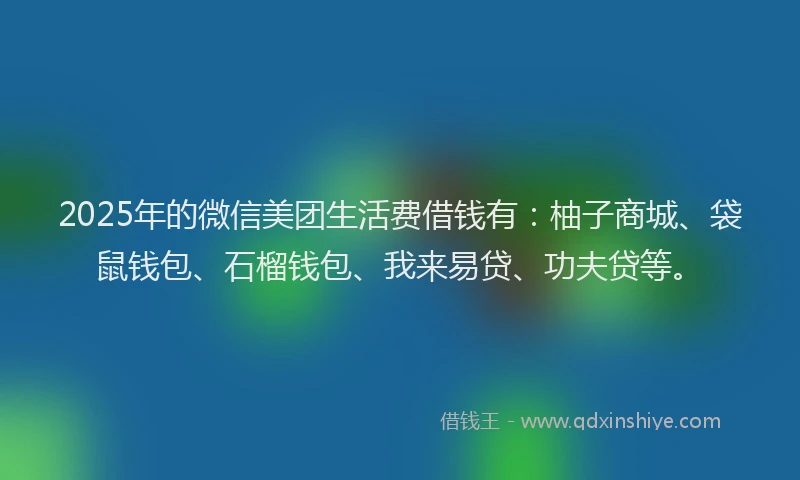 2025年的微信美团生活费借钱有：柚子商城、袋鼠钱包、石榴钱包、我来易贷、功夫贷等。