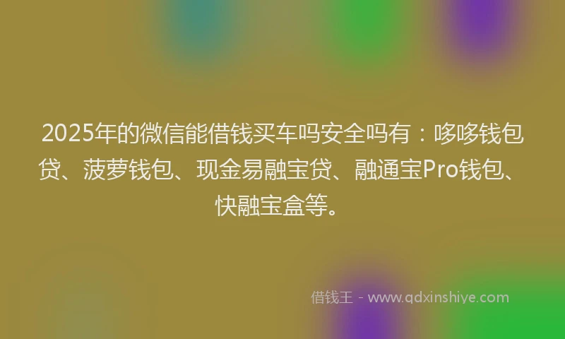 2025年的微信能借钱买车吗安全吗有：哆哆钱包贷、菠萝钱包、现金易融宝贷、融通宝Pro钱包、快融宝盒等。