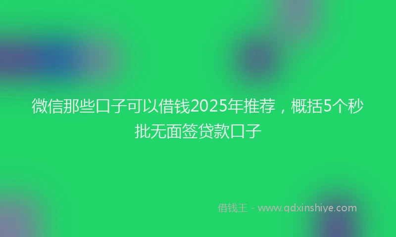 微信那些口子可以借钱2025年推荐，概括5个秒批无面签贷款口子
